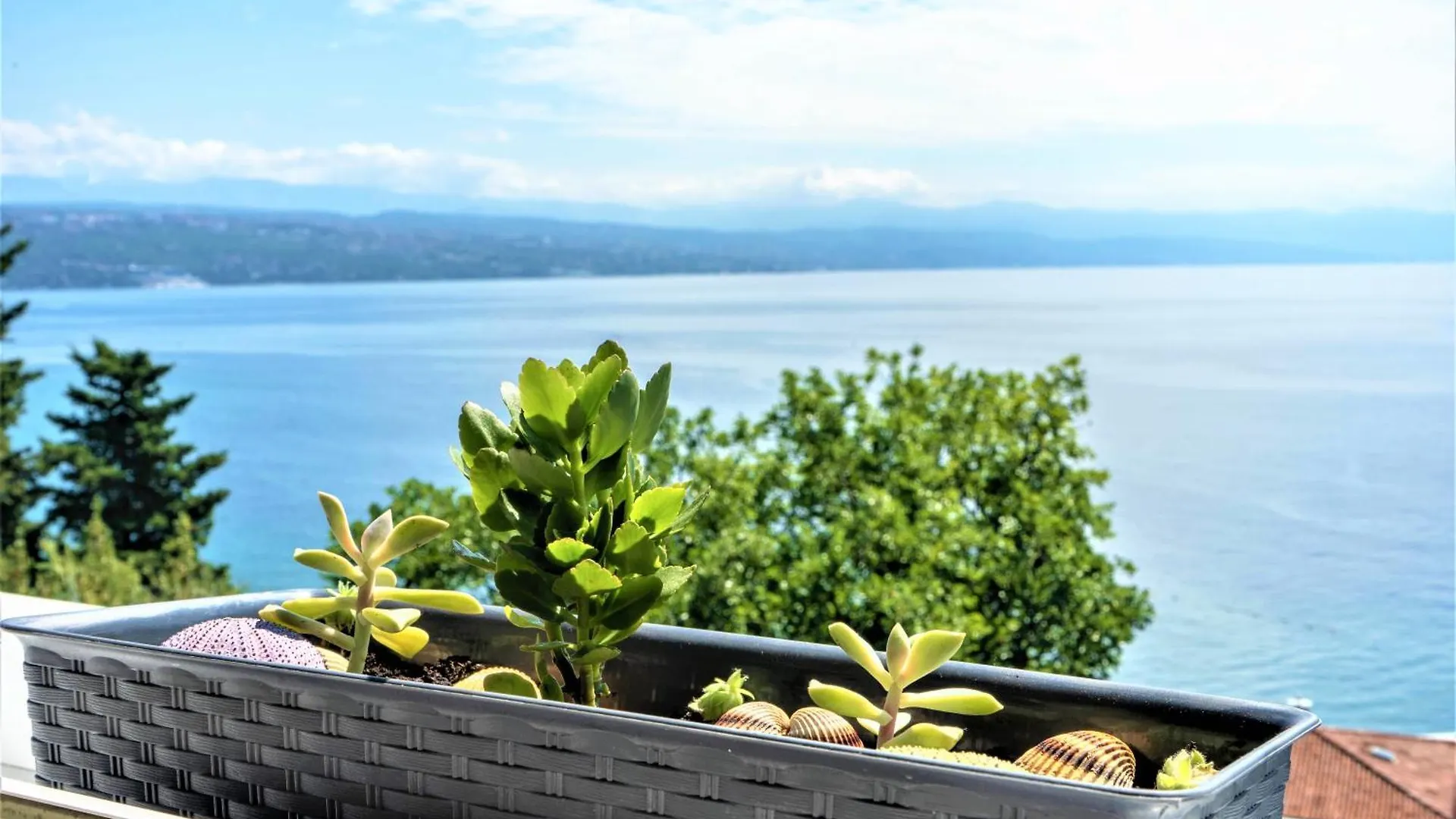 Apartment Near Beach With Sea View Opatija 0*,  Croatia